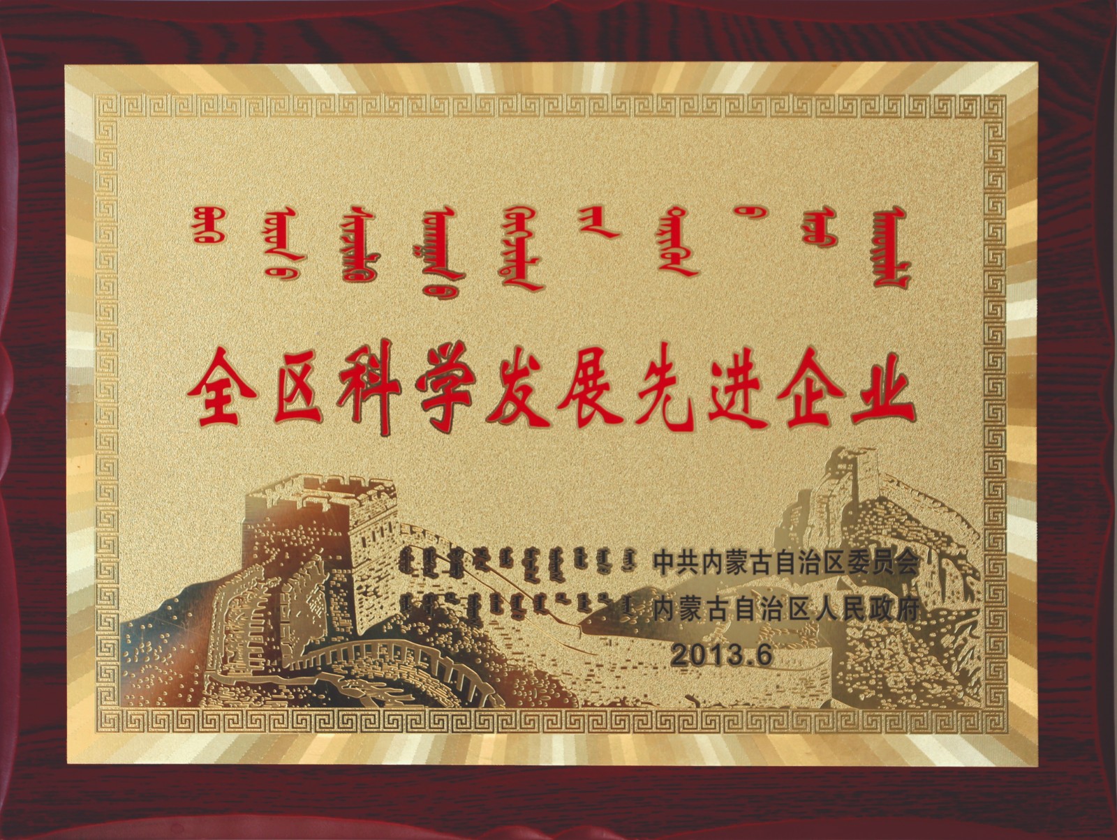 全区科学生长先进企业