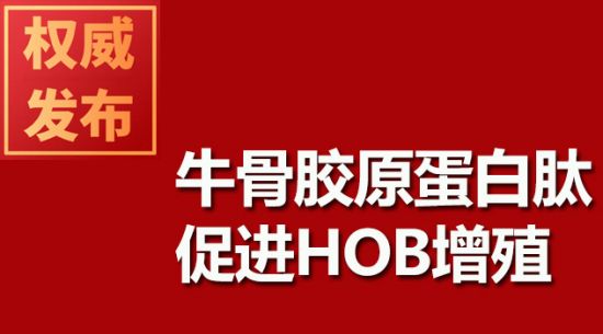 牛骨胶原卵白肽增进HOB增殖